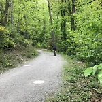 Schwarzwald Glueck شقة *