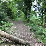 شقة Schwarzwald Glueck *