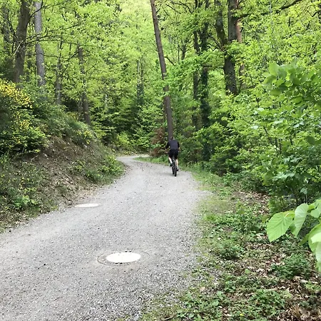 Schwarzwald Glueck Daire *