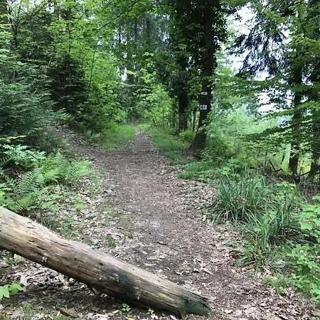 Apartmán Schwarzwald Glueck *