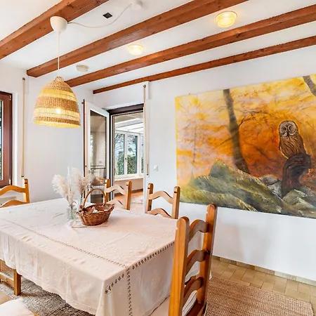 Schwarzwald Glueck 불