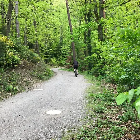 شقة Schwarzwald Glueck