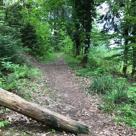 Schwarzwald Glueck * بوهل