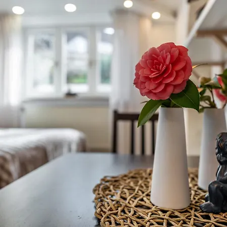 Appartement Schwarzwald Glueck