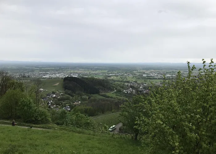 Schwarzwald Glueck 불