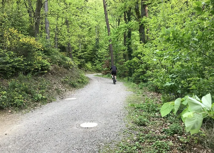 Schwarzwald Glueck 아파트 *