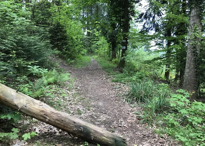 Appartement Schwarzwald Glueck *